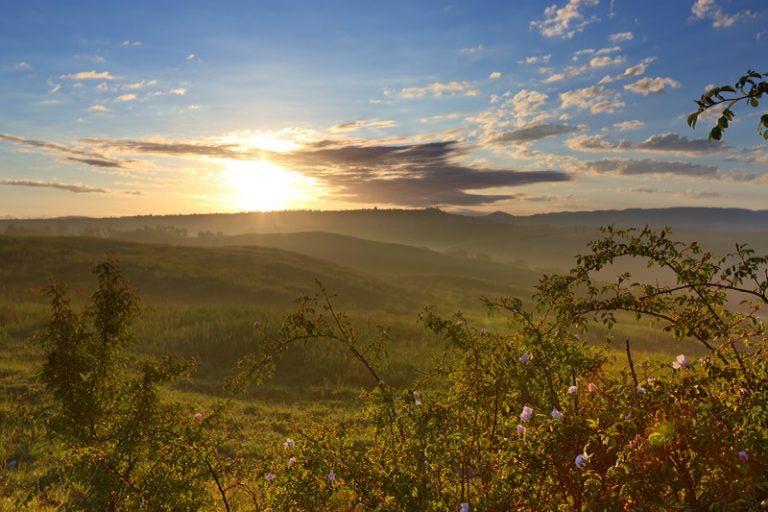 sato-pienza-territorio-01