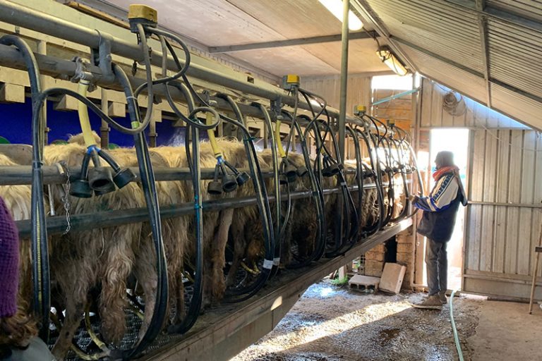 sato-pienza-azienda-chi-siamo-01