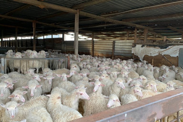 sato-pienza-azienda-chi-siamo-03