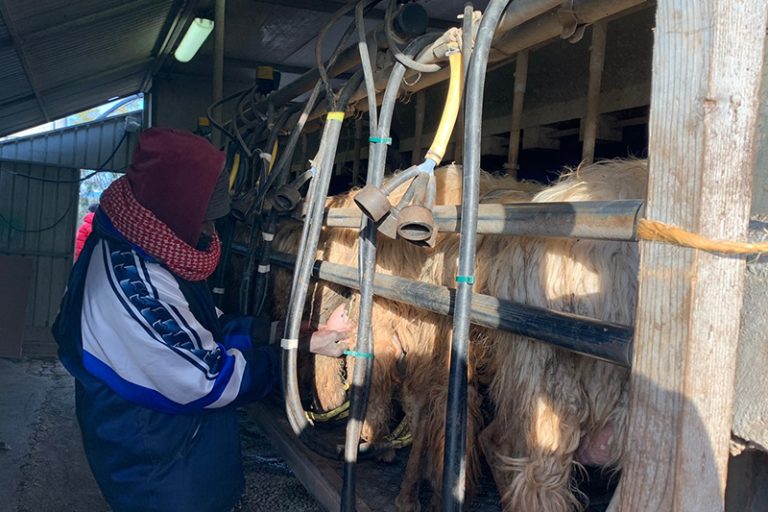 sato-pienza-azienda-chi-siamo-04