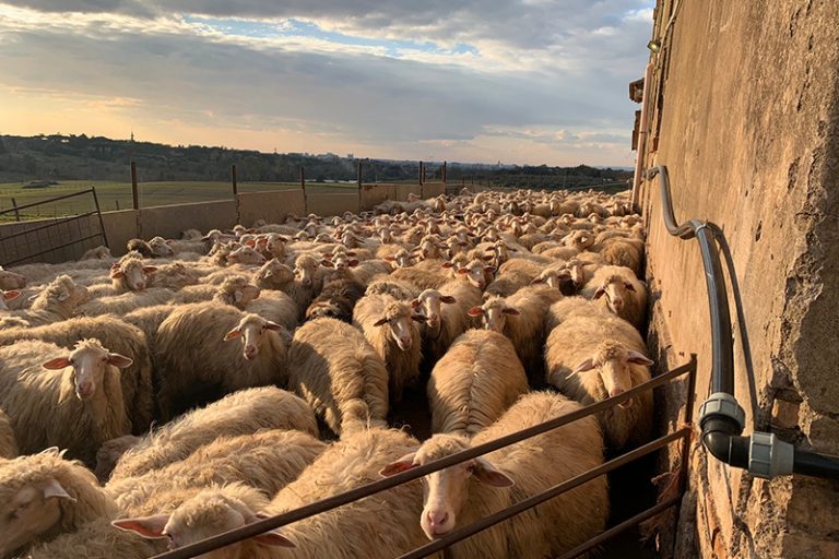 sato-pienza-azienda-chi-siamo-05