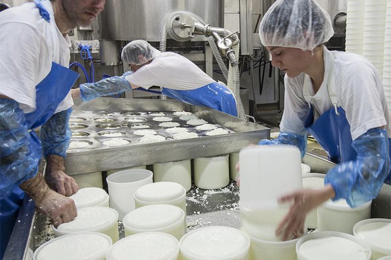 sato-pienza-azienda-chi-siamo-06